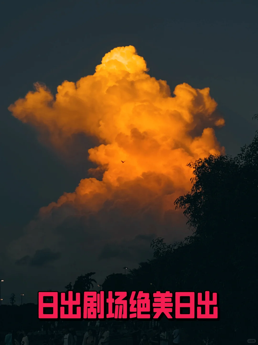 快来认领深圳绝美日出