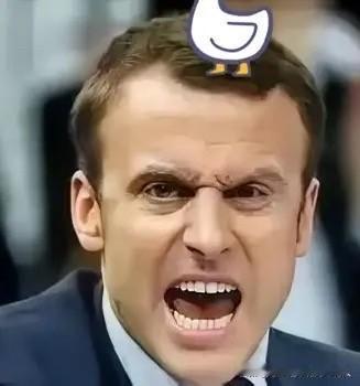 马克龙访华后翻脸放狠话？

马克龙前脚刚结束访华，后脚就在《回声报》采访里撂狠话