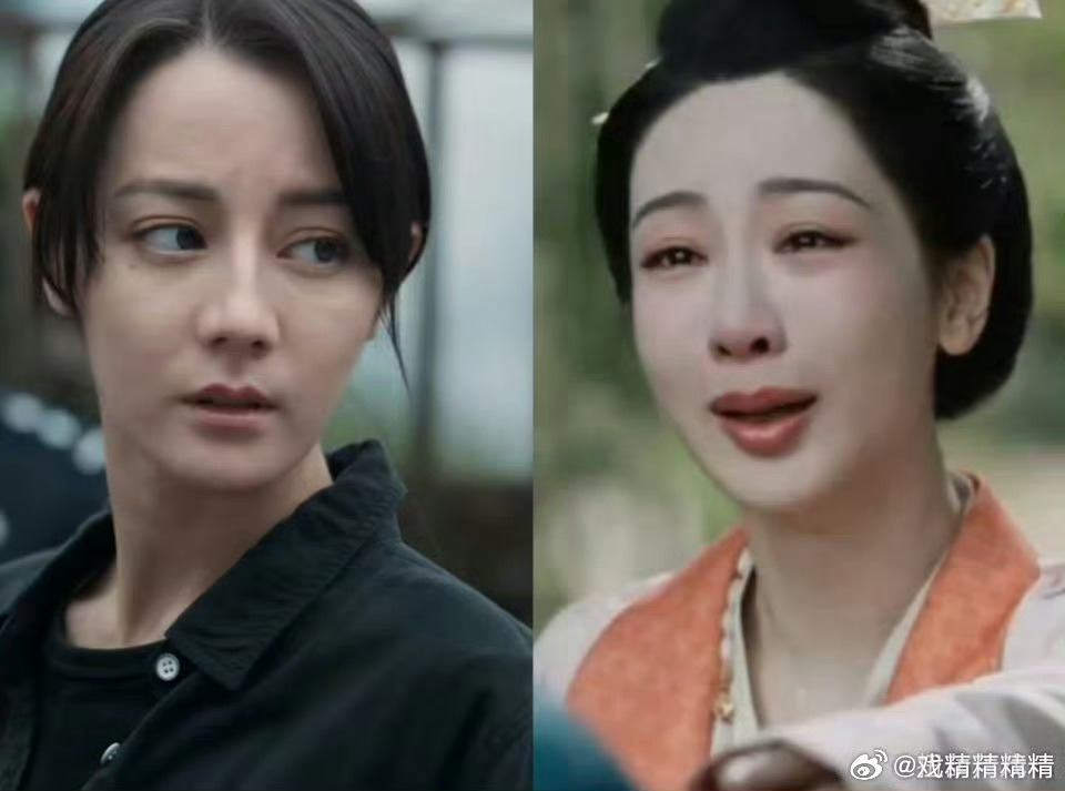 网友议热巴明明演技比紫好，为什么一直接不到紫生命树那样的好饼？ ​​​