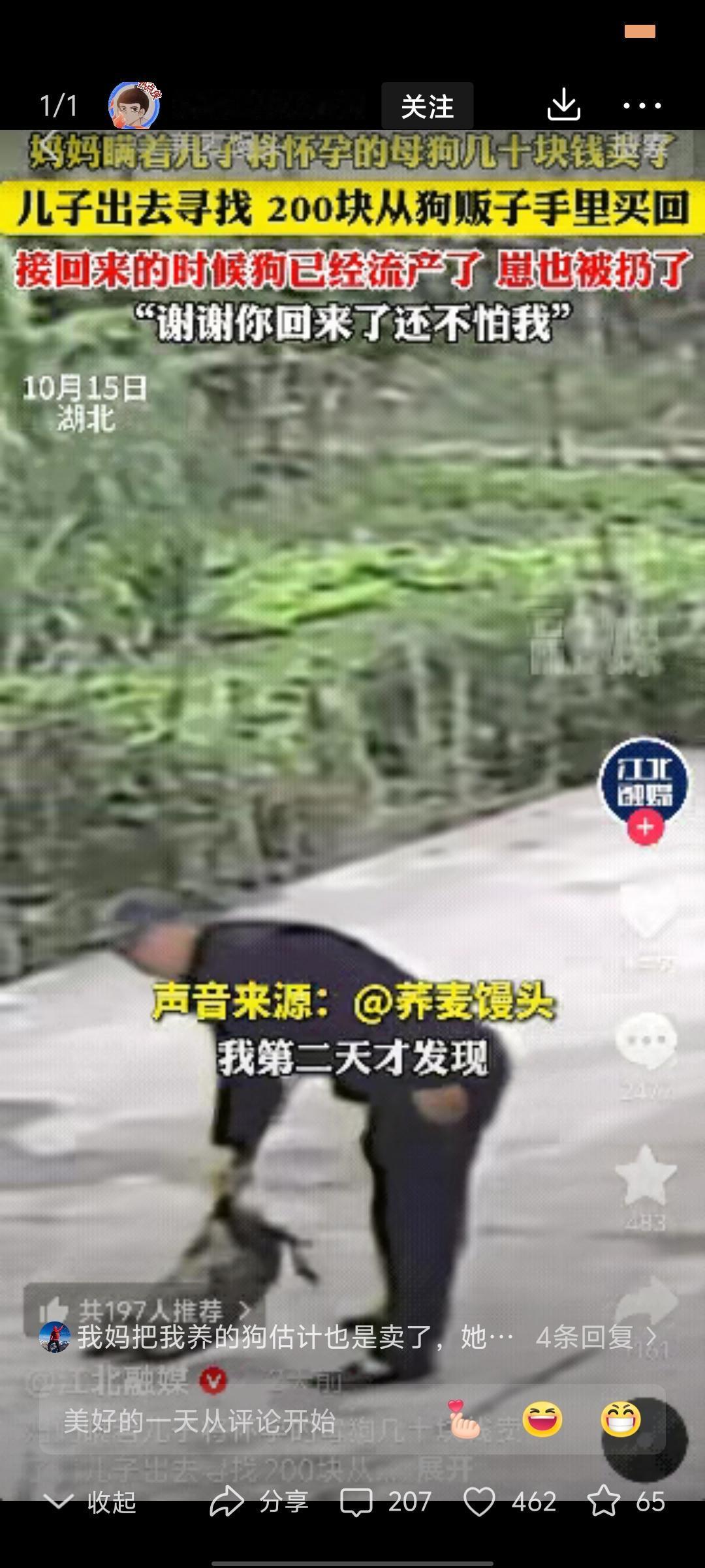 泪目了！”湖北，一妈妈瞒着儿子卖掉了家里怀孕快生的母狗。儿子知道后，花了42小时