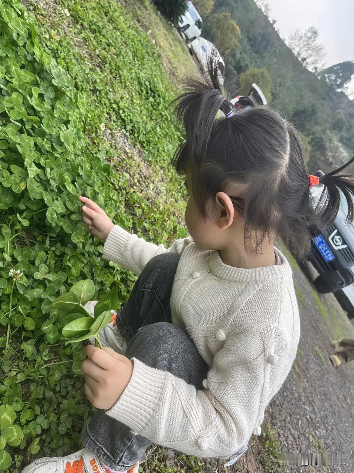 我丈母娘得知和她女儿协议离婚，并带着小女儿擅自离开。她下午打了很多次电话，我一个