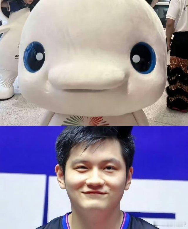 那必然不换，粉的白的都要了，而且樊振东同款大湾鸡，你就说像不像 