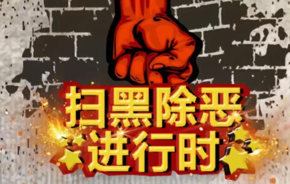 国家要进行一年的深度扫黑除恶，我举手支持，我提出一点建议，就是村、乡、县这这藏污