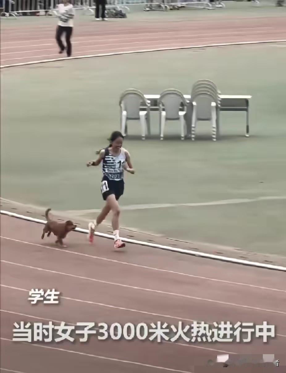 “这只小狗上人民日报了！”内蒙古，一女生在冲刺3000米的时候，一只小狗突然就跟