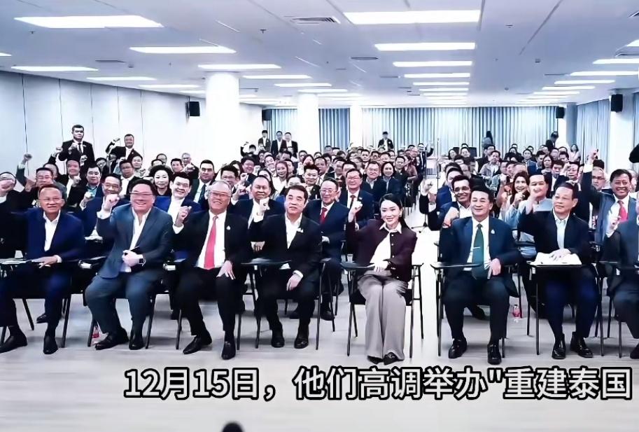 泰国政坛这出戏，真是让人看得目瞪口呆。

12月24日，阿努廷大张旗鼓地宣布要竞