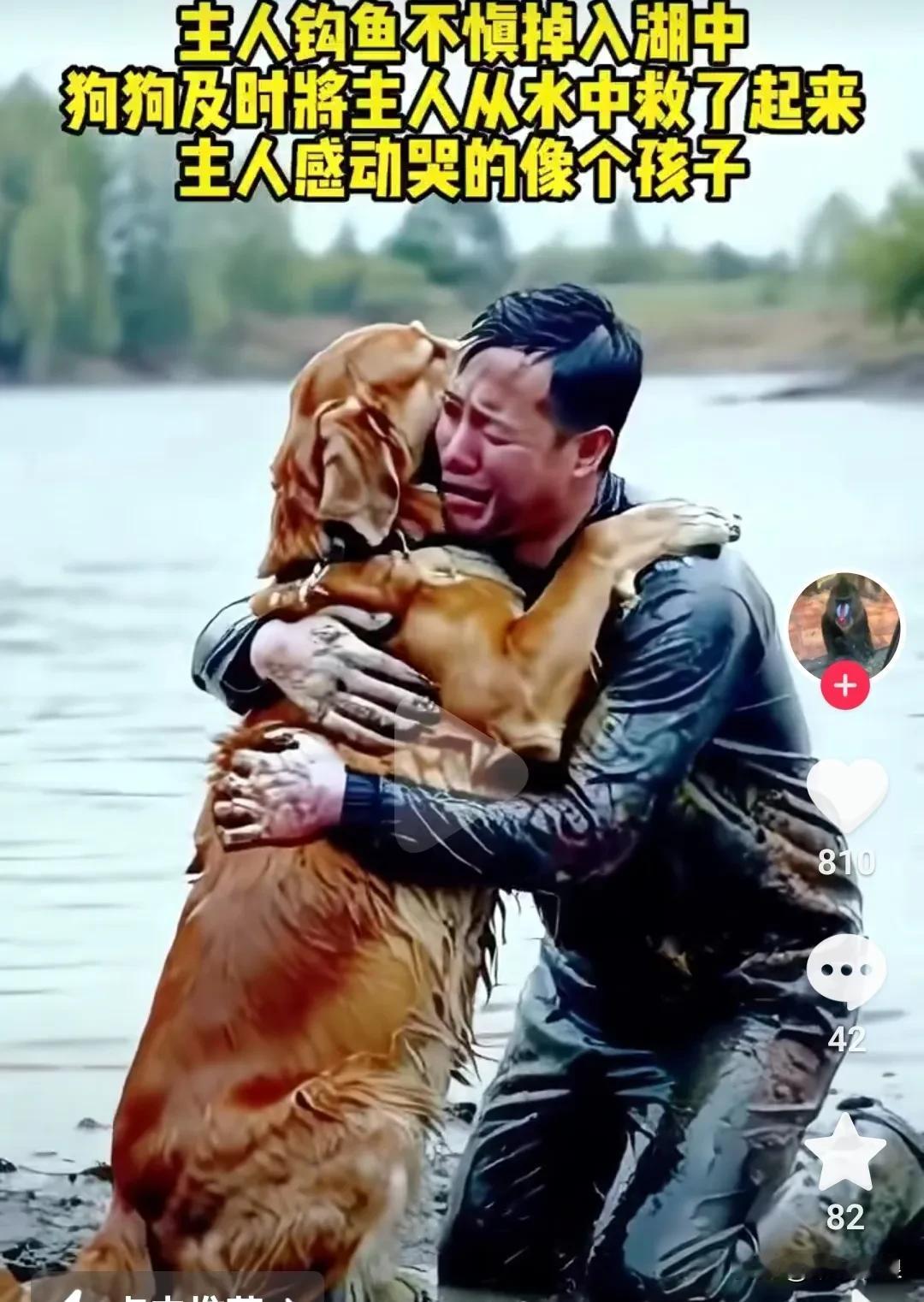 主人带着金毛到深中钓鱼，没想到钩中一只大鱼把自拉入深水中喊救命，狗狗闻声赶来见壮