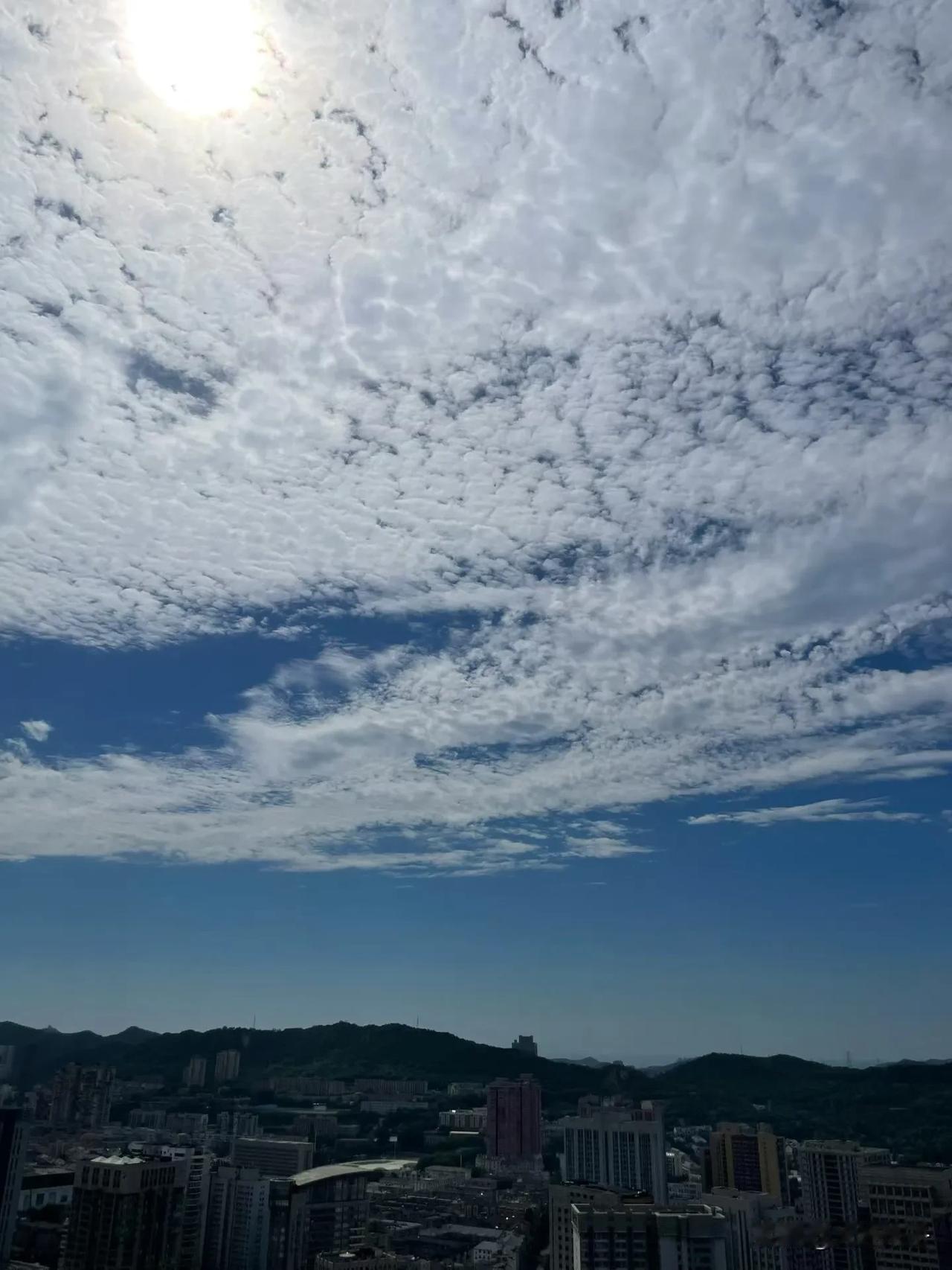 秋高气爽，天高云淡，我家没开空调，温度已经降到23度，太舒服了！

大连今天晴转