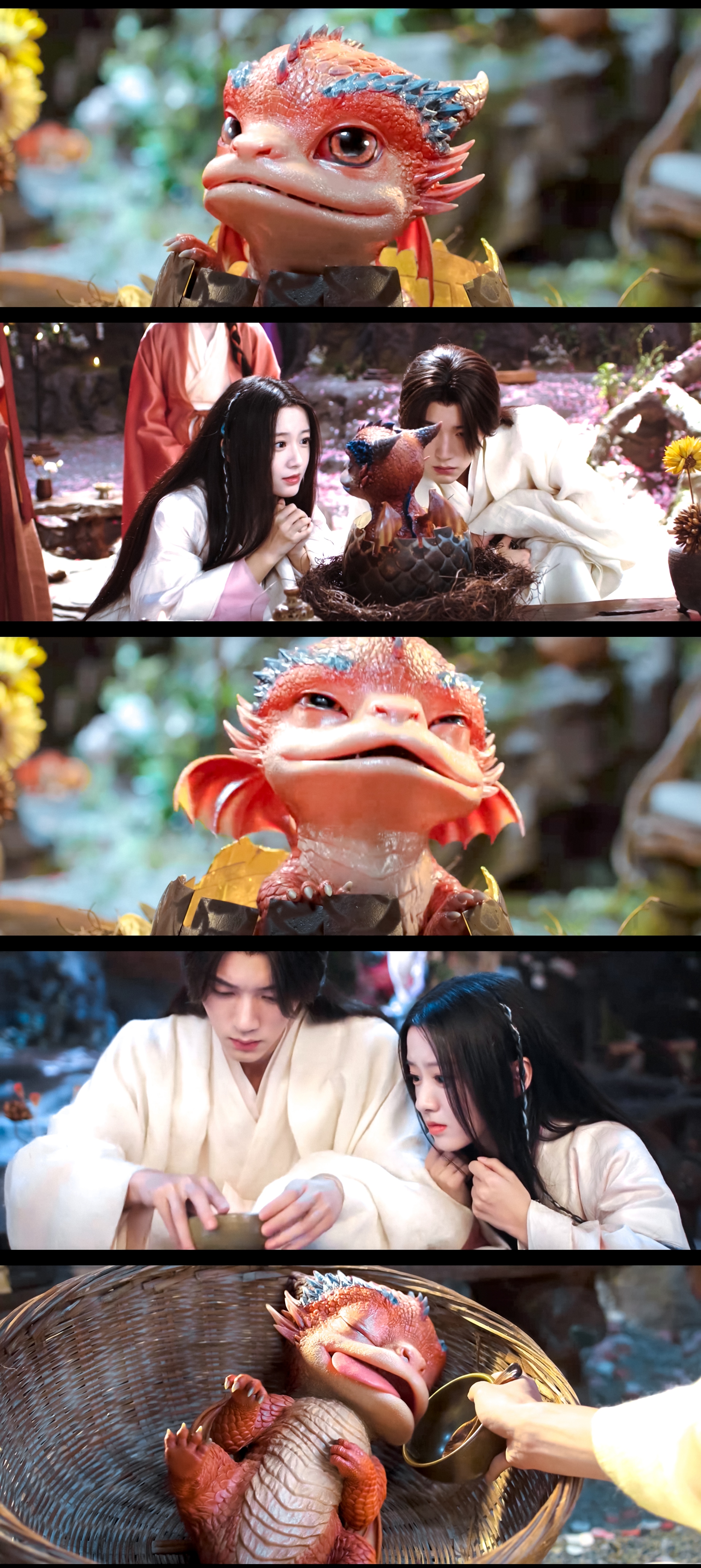 好可爱的龙宝宝🥺一家三口既视感☝枝枝的追剧碎碎念 /江湖夜雨十年灯