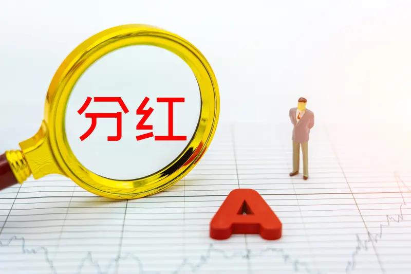 我喜欢投资高分红上市公司
       高股息投资收益包括现金分红和股价估值修复