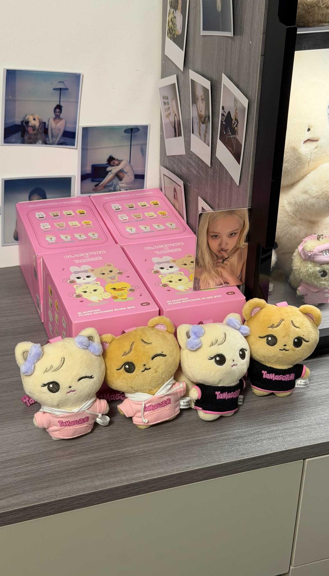 新成员
blackpink 家里的新成员 可爱的一切 Jennie rose 朴