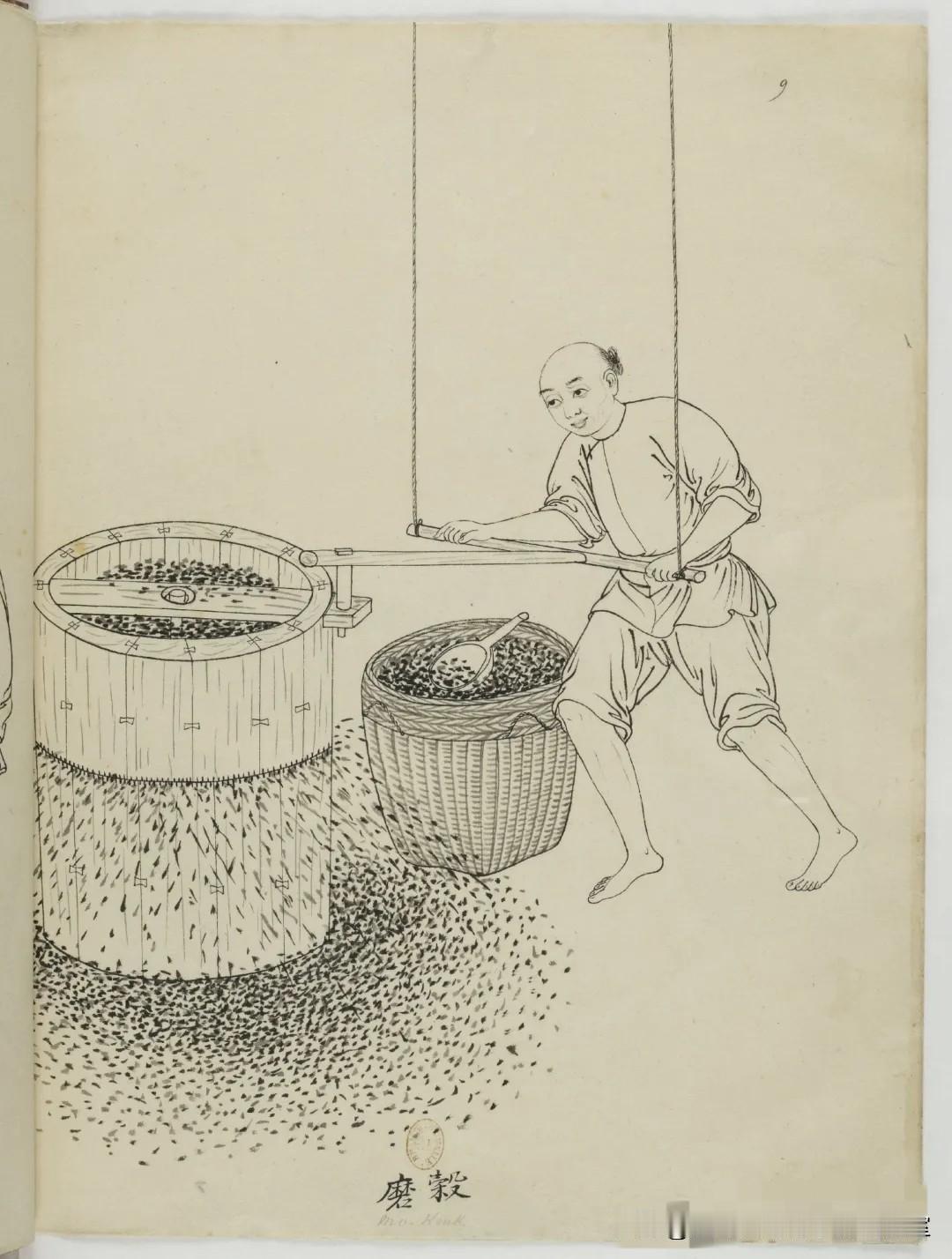 〔古籍.中国自然历史绘画系列〕拾页02〔其它〕