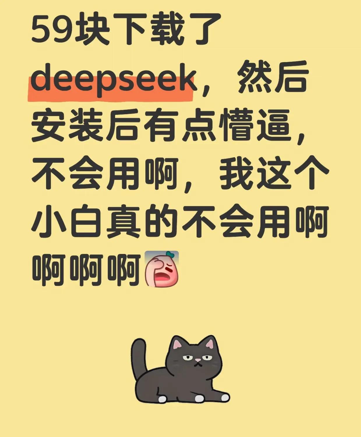 居然有人花钱买deepseek，真的是活见久