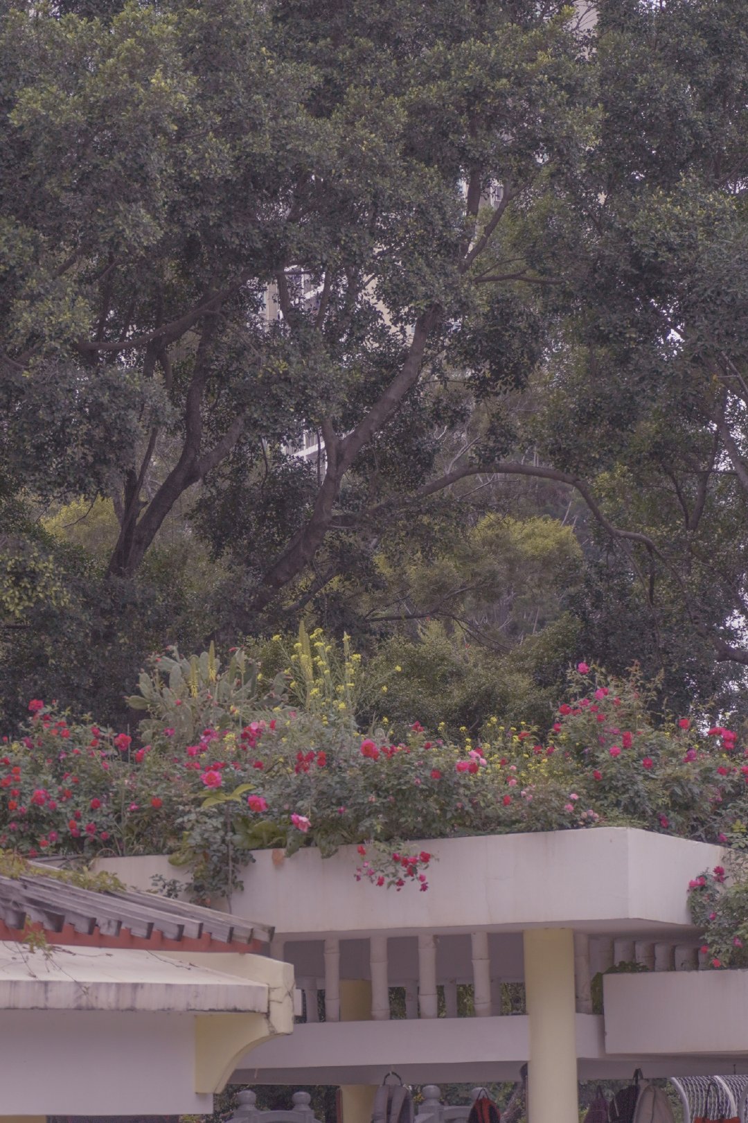 珍惜你的低谷，你会看到很多真相。时间能渡的都是愿意自渡的人，没有谁的人生一帆风顺