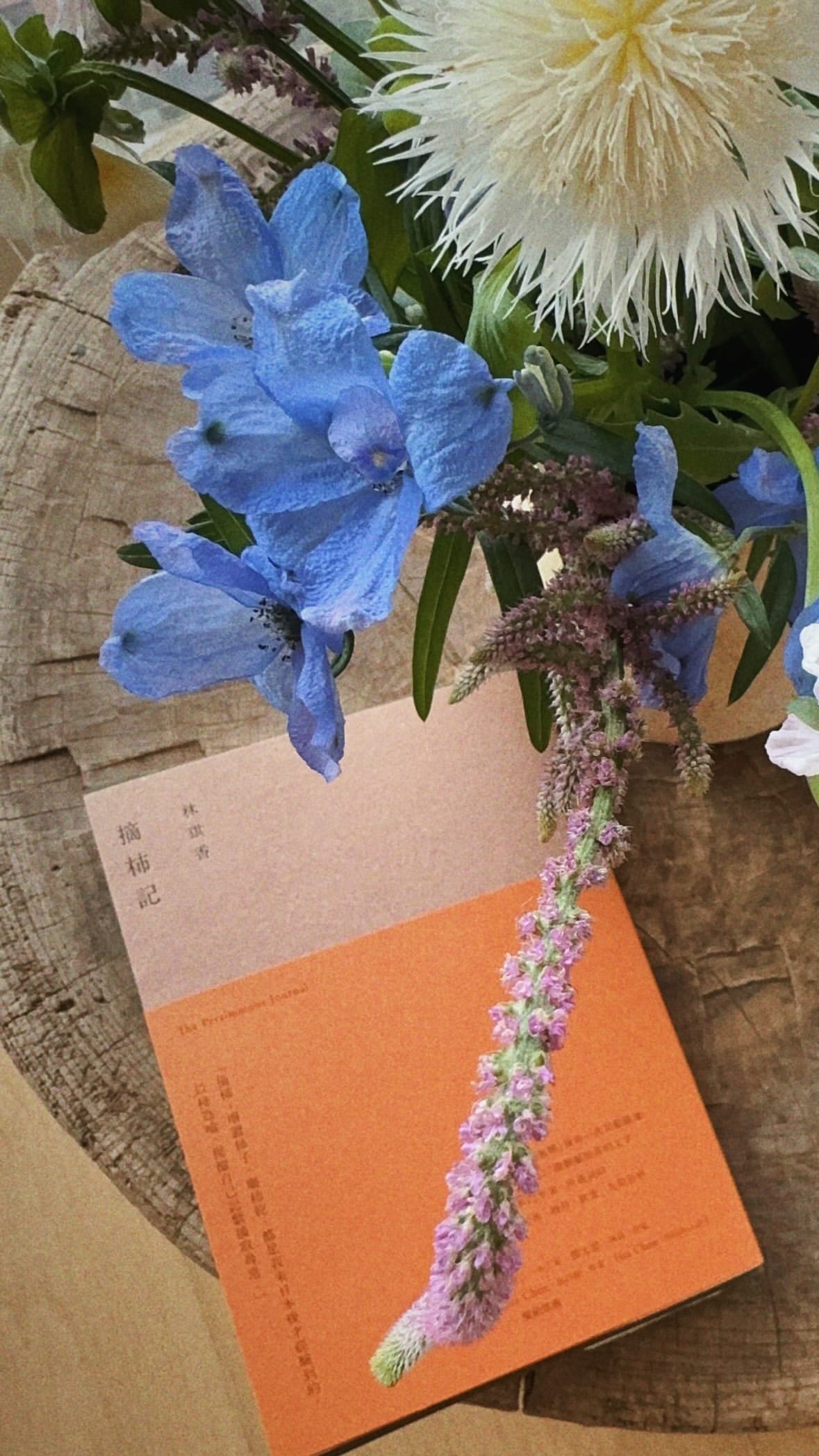 想找田馥甄给我当摄影师 