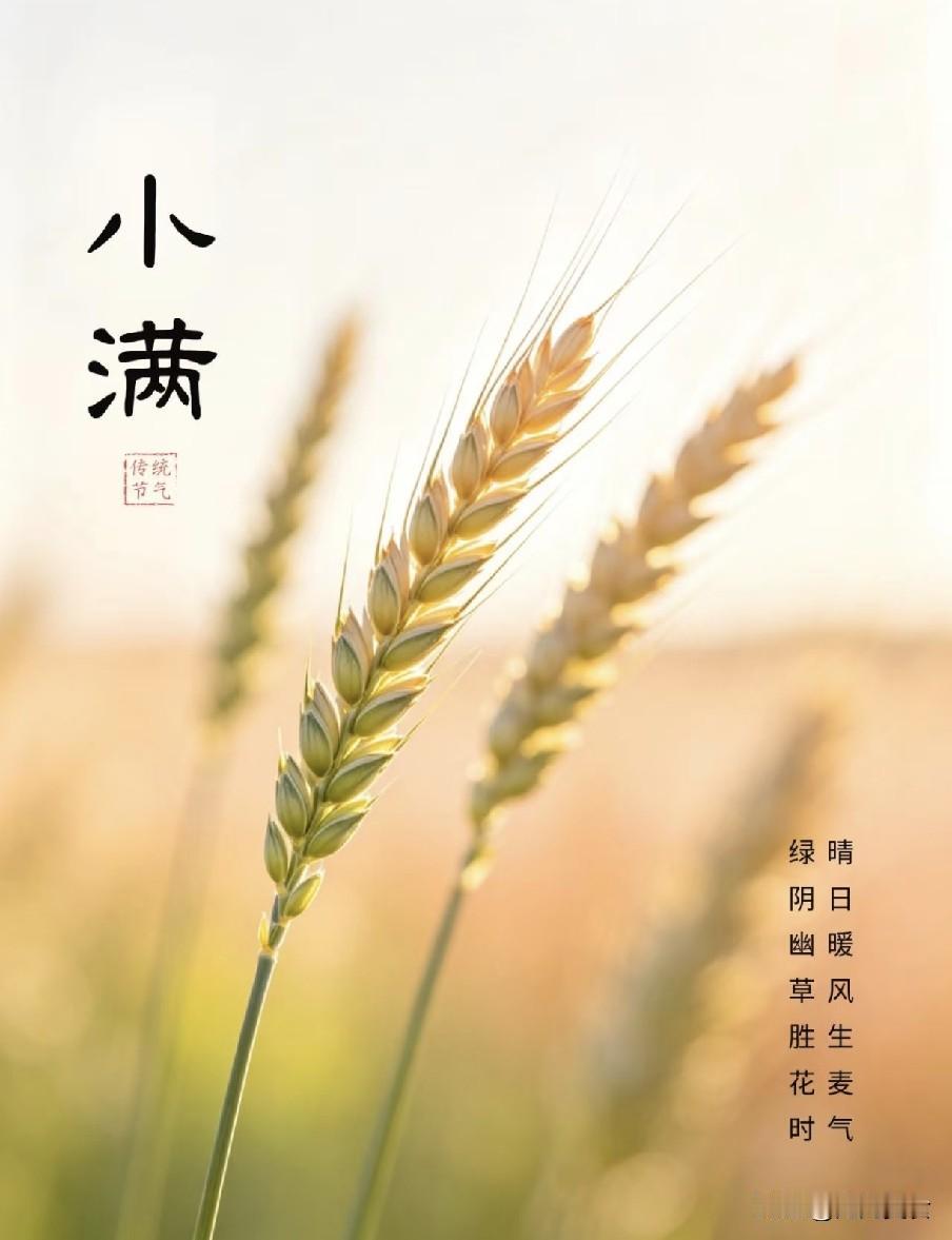 “小满太阳笑，遍地起坟头”，今天小满，晴天有什么预兆？
 
2026年迎来难得的