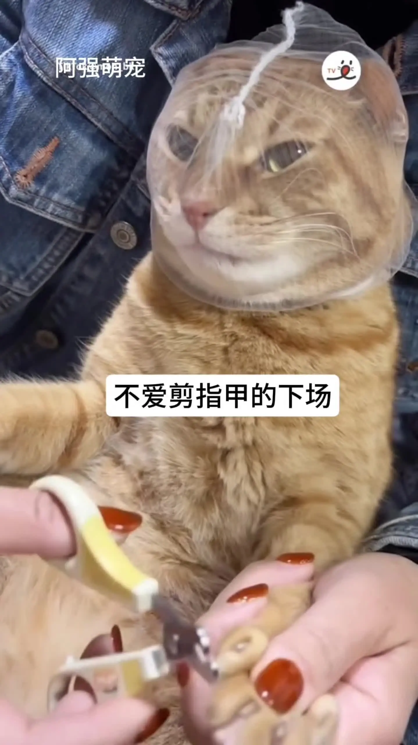 治不了你了还