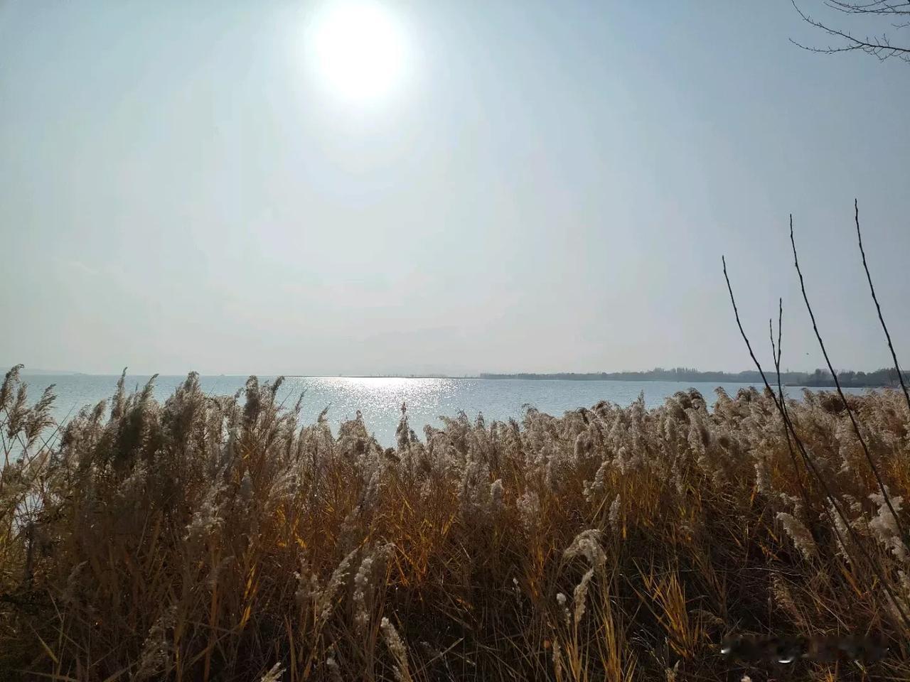 每个人的心里，
都藏着一个了不起的自己。
只要你不颓废、不消极，一直酝酿着乐观，