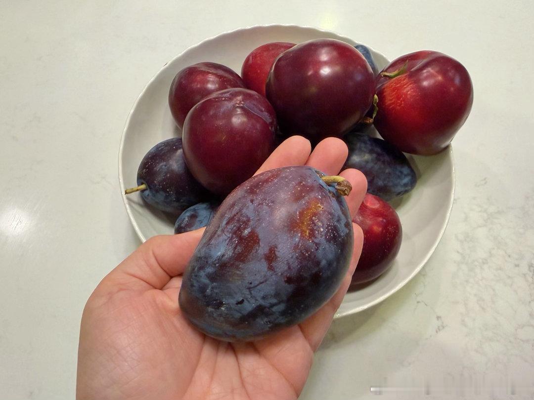 周末的早午饭就是各种速食加加热。昨天在市集买了橙色西瓜，大李子，还有大西梅！都好