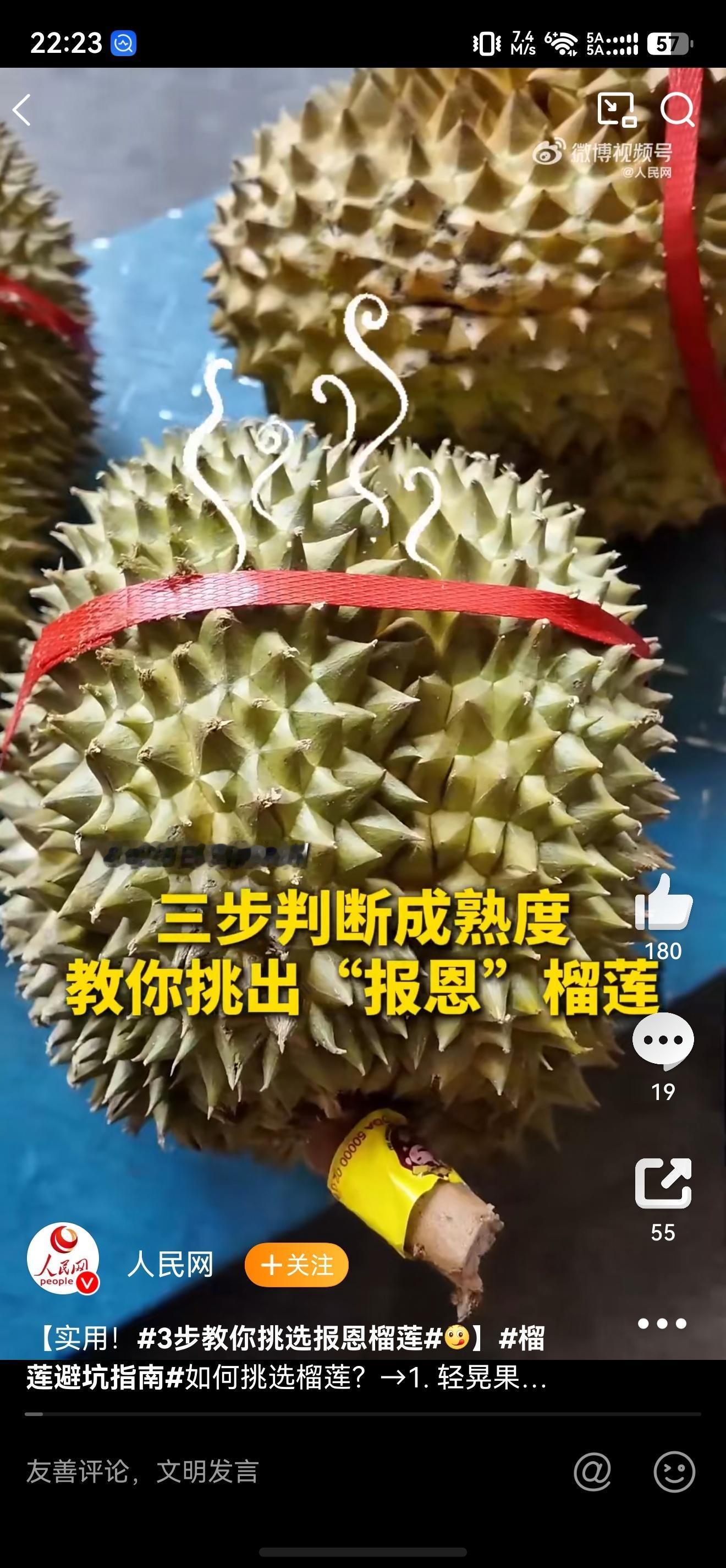 榴莲价格彻底崩了19.9元？这还叫低 我这边今年出现几个卷王，价格一家比一家低，
