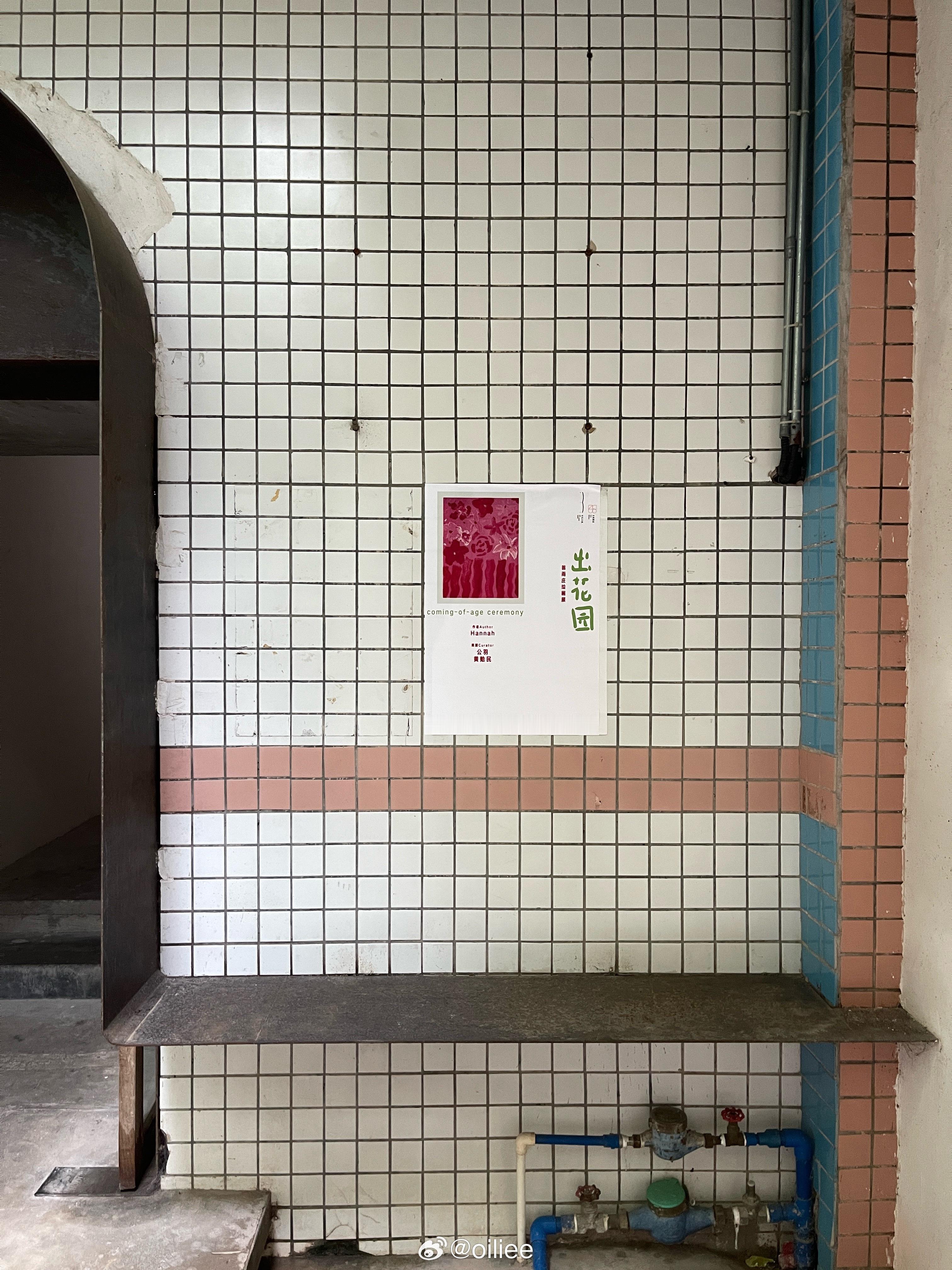 ✉️ 休息日的海量照片 