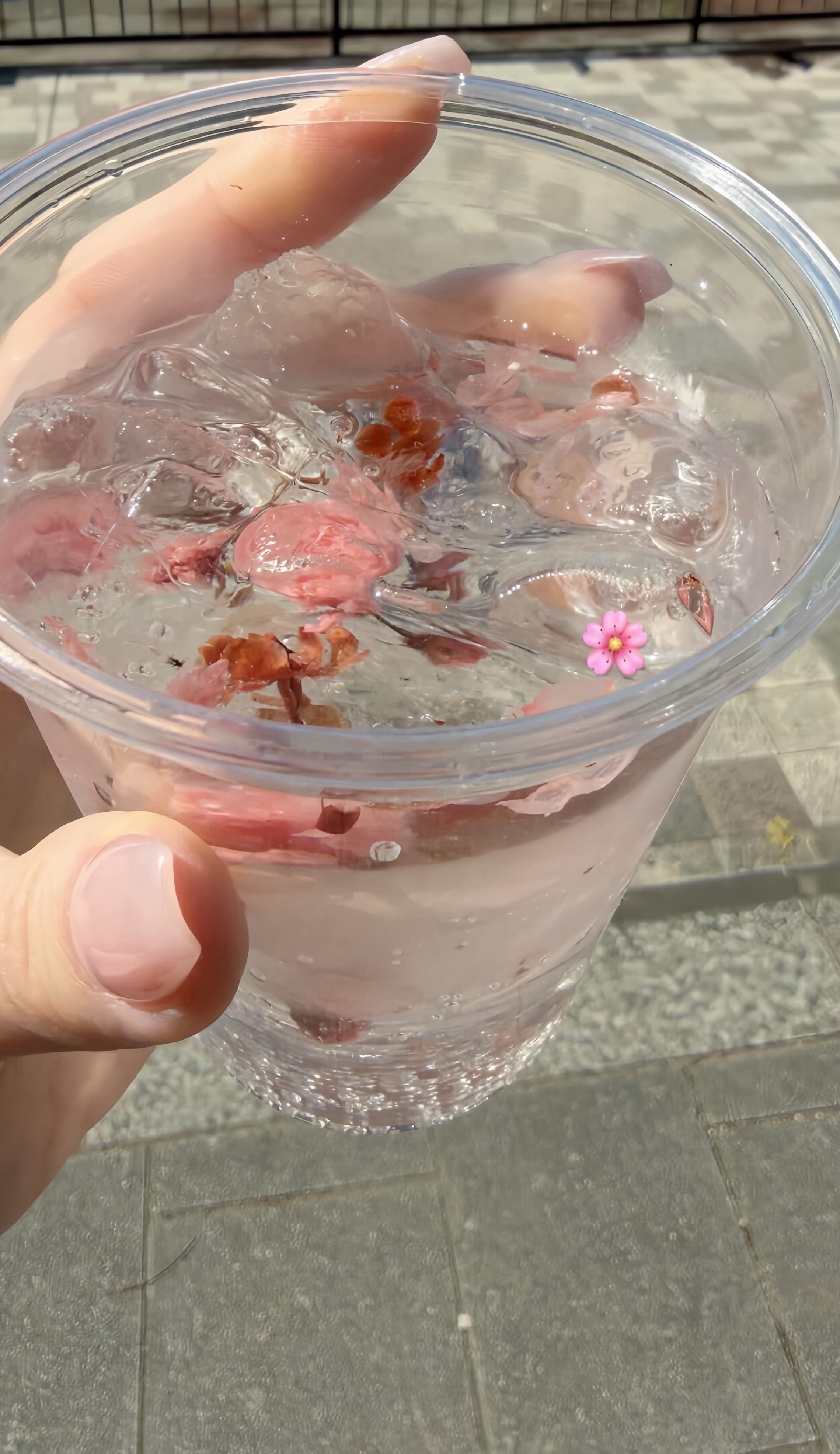 见信好🌸 