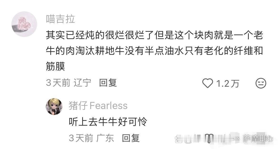 九个小时恐龙都炖烂了 