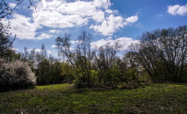 退休后才明白：50岁的70后，拥有这些，已是人生上上签