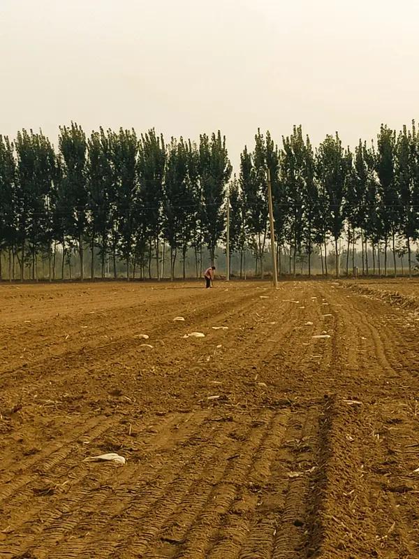 再过30年还有人种地吗？反正我是不种。从数据来看，种地的人是越来越少了。1996