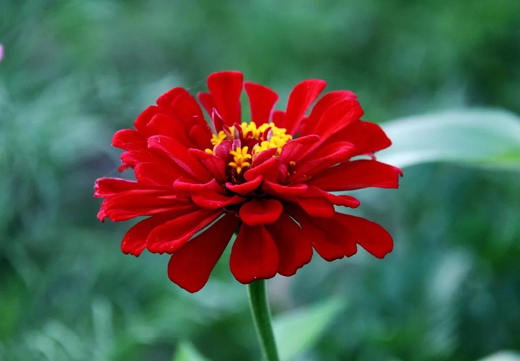 #秋日生活打卡季#

又看乒乓球赛。男双决赛，马龙对阵林诗栋。龙队确实经验老到，