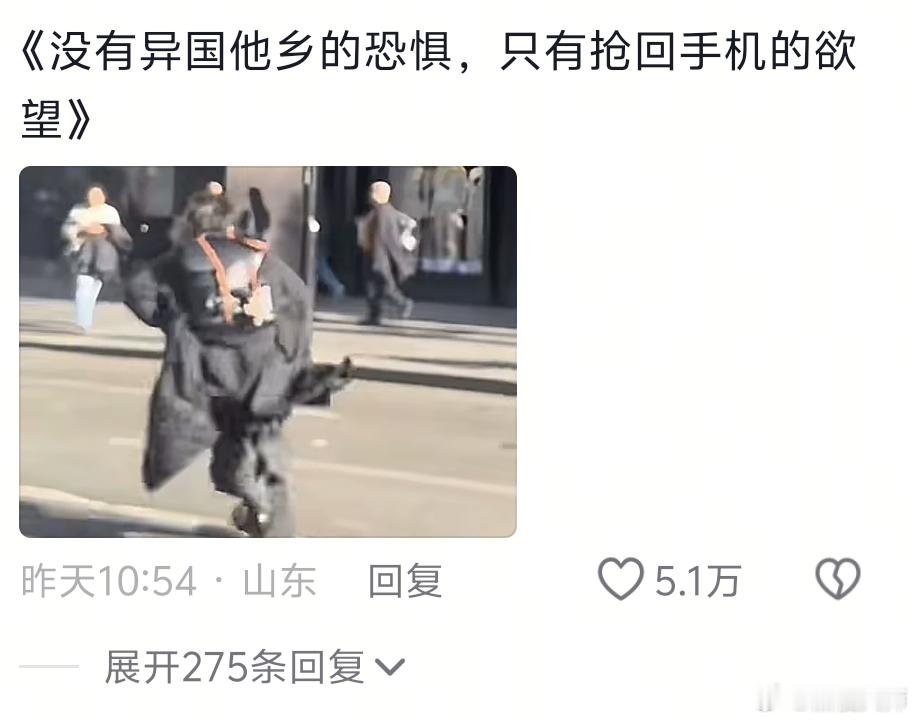 《没有异国他乡的恐惧，只有抢回手机的欲望》敢偷中国人的手机你是疯了吧 ​​​