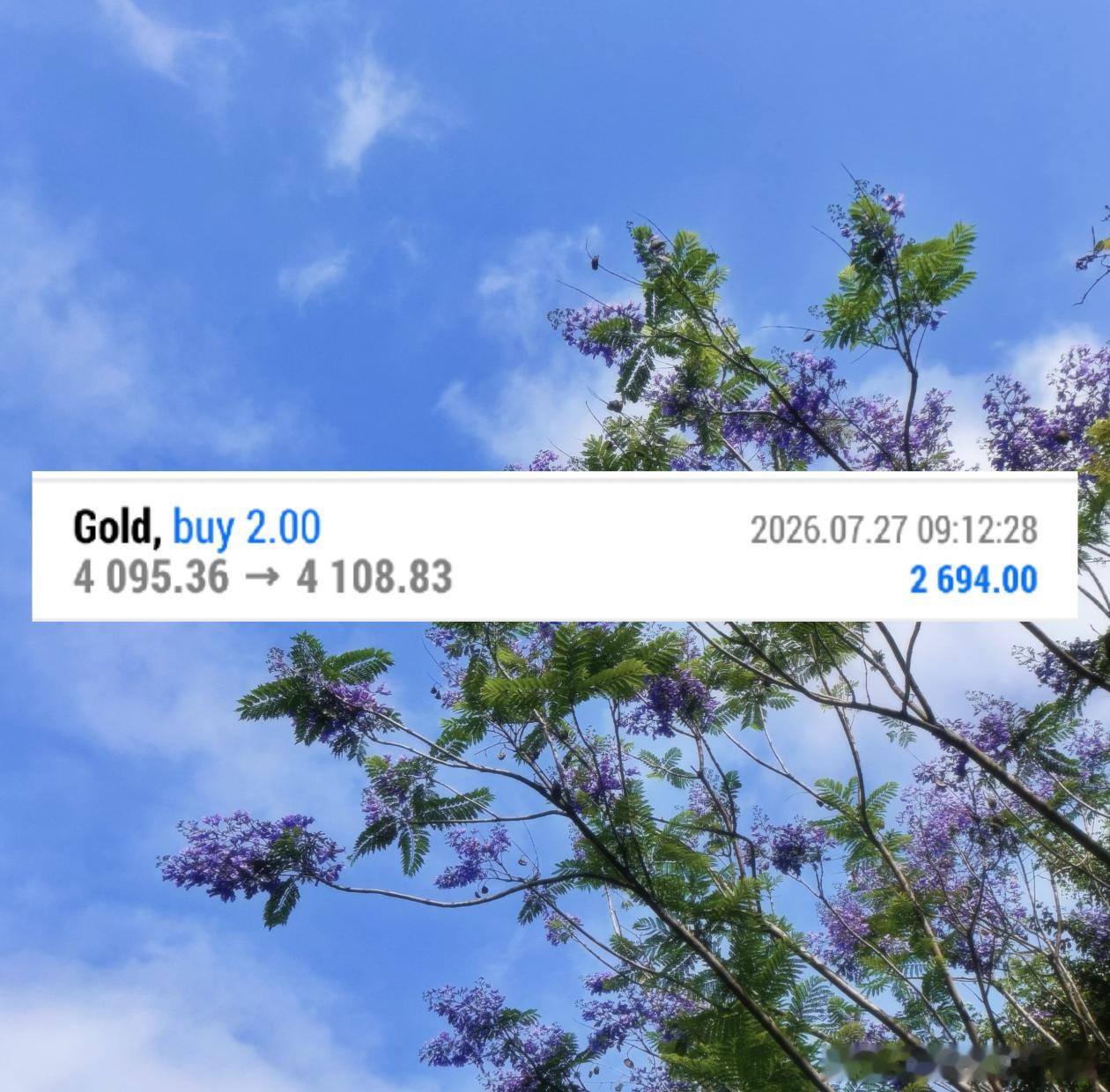日内第一弹：早上跟着我早评布局的伙伴，短哆顺利吃到一口。4096哆，4109出，