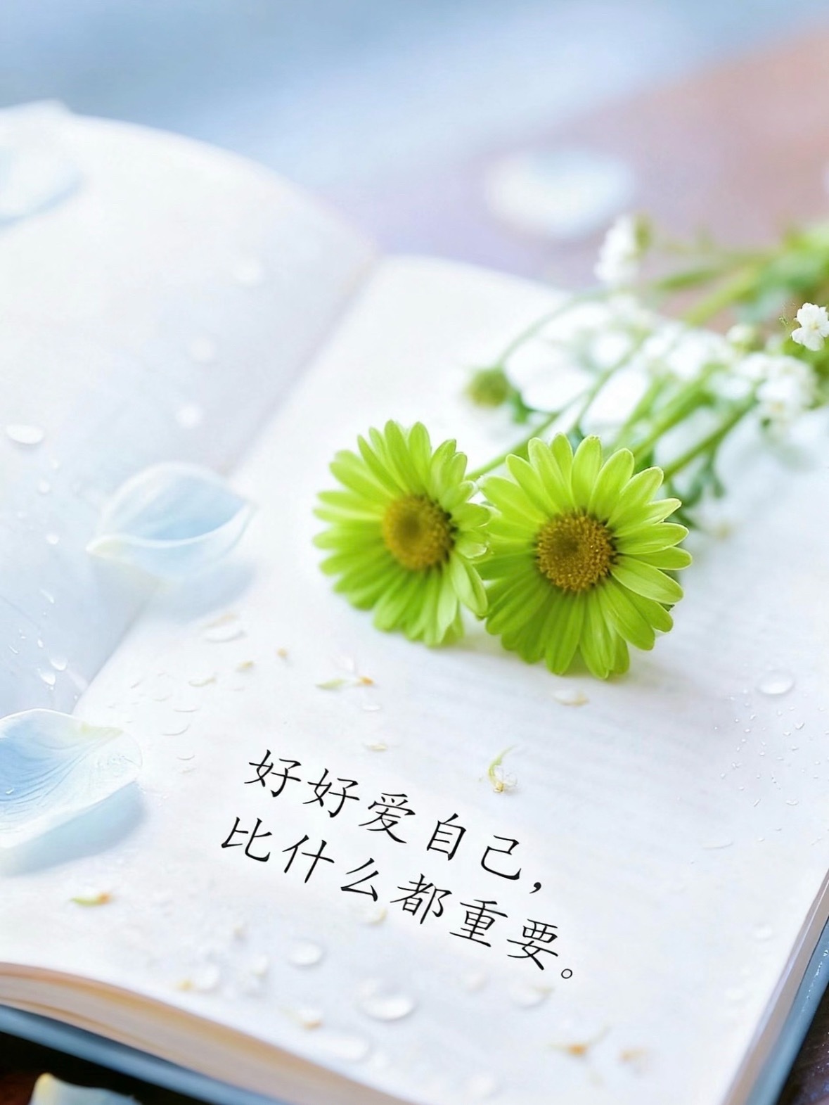 阳光信用 阳光信用 每日一善  ☀️极好784，文明友善🧱👍🏻🍎真正有力