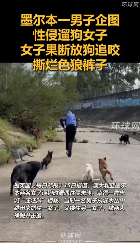 “应该没收作案工具！”7月15日报道，澳大利亚墨尔本，两名女子在遛狗的时候遇到了