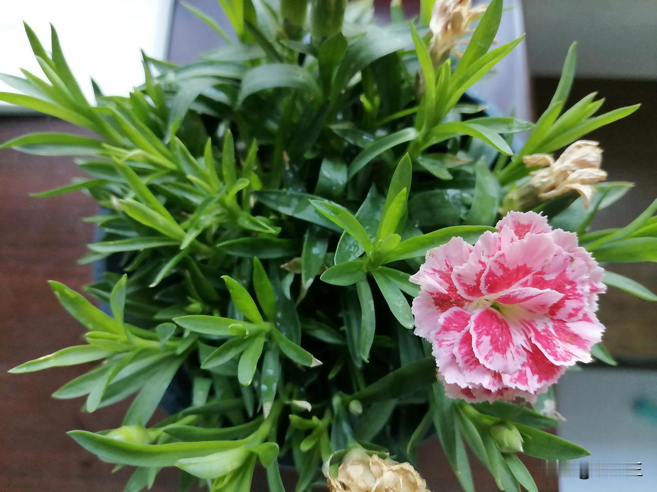 生意好了之后，千万别搬家，别扩充门面，稳定几年，看看形势再决定。否则可能生意惨败