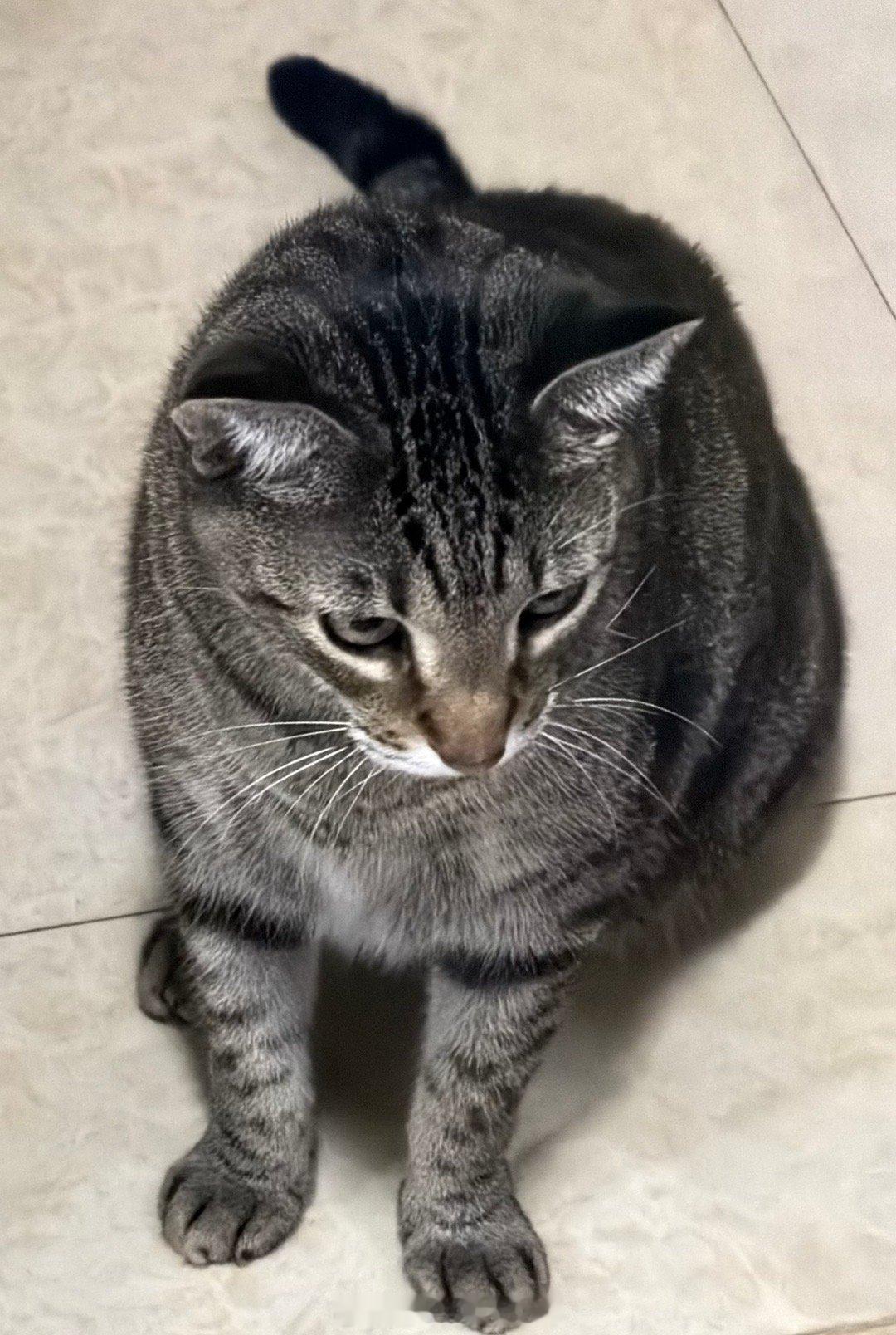 我崽永远会等我洗澡出来