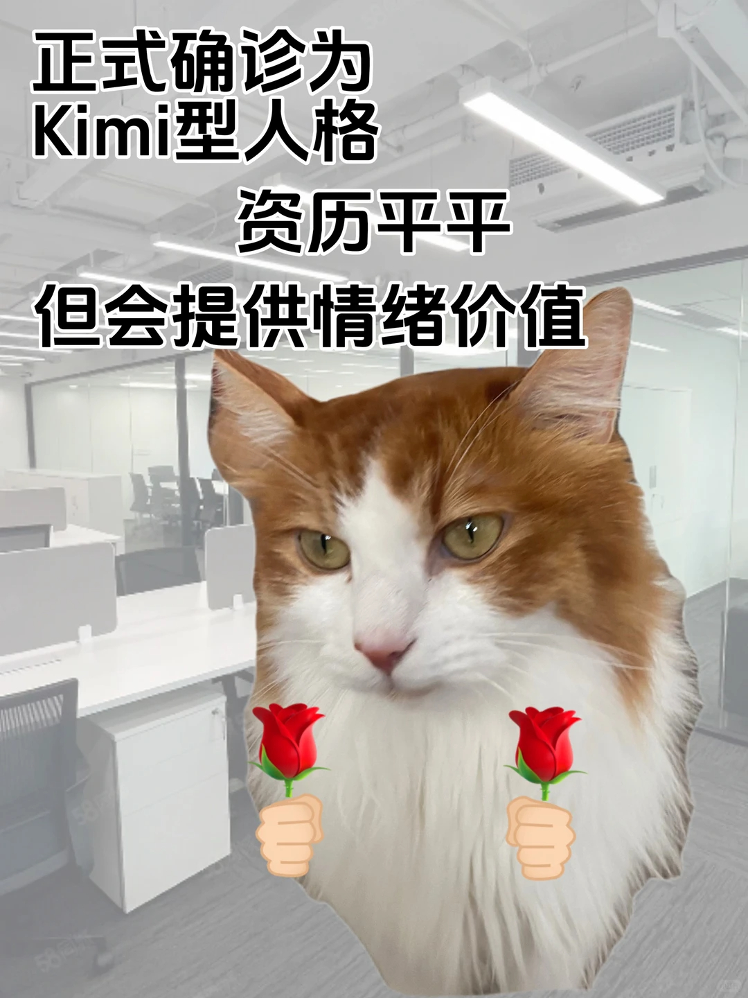 豆包型人格真的很适合职场 快看你是哪种办公室AI型人格？豆包和deepseek的