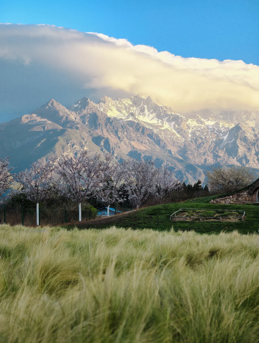 带着vivo X300 Ultra在山野里呼吸的春天