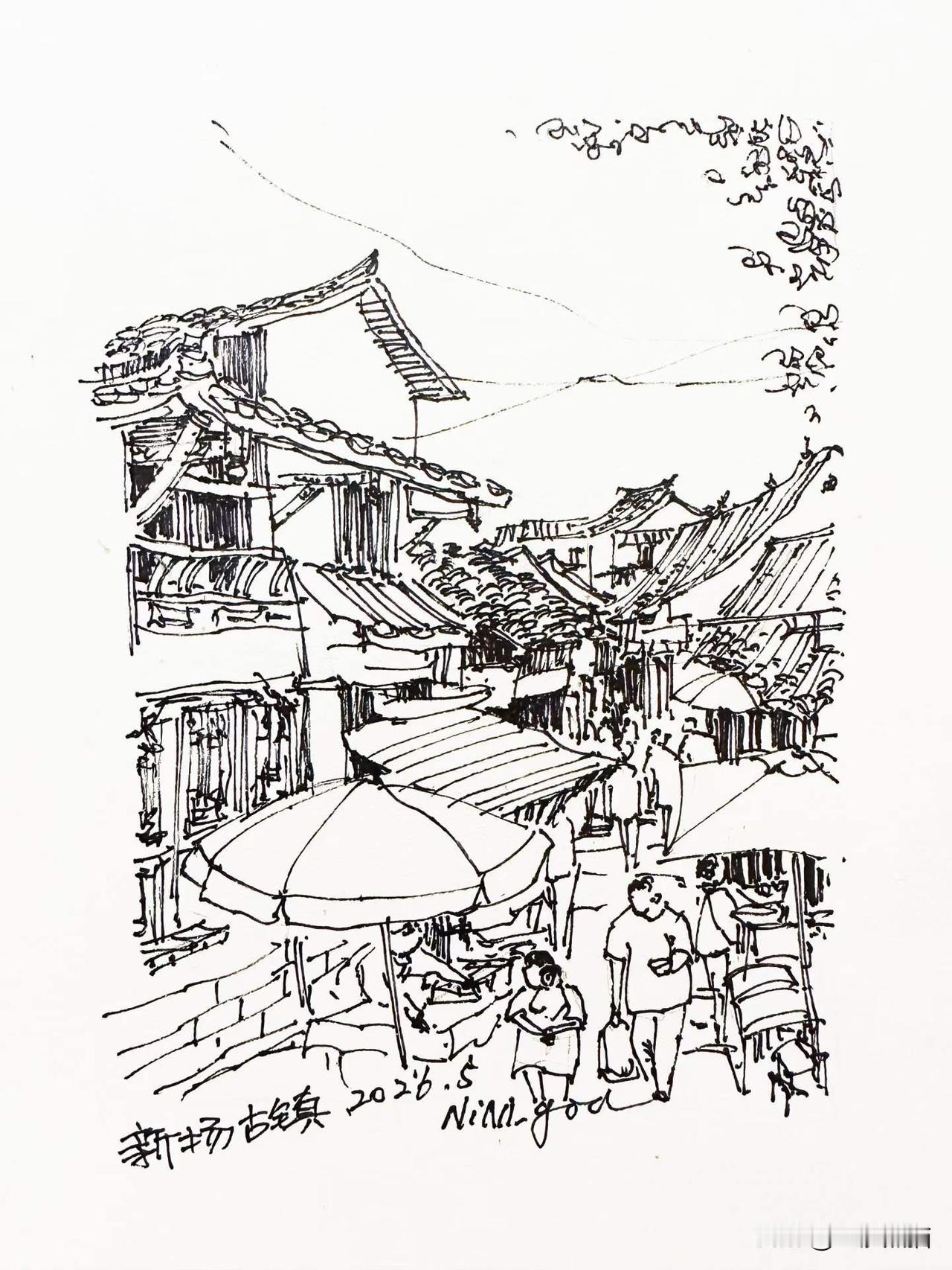 观1600百年的东晋古寺中古柏高耸，又遇新场古镇一棵近一米高的车前草，就像是人生