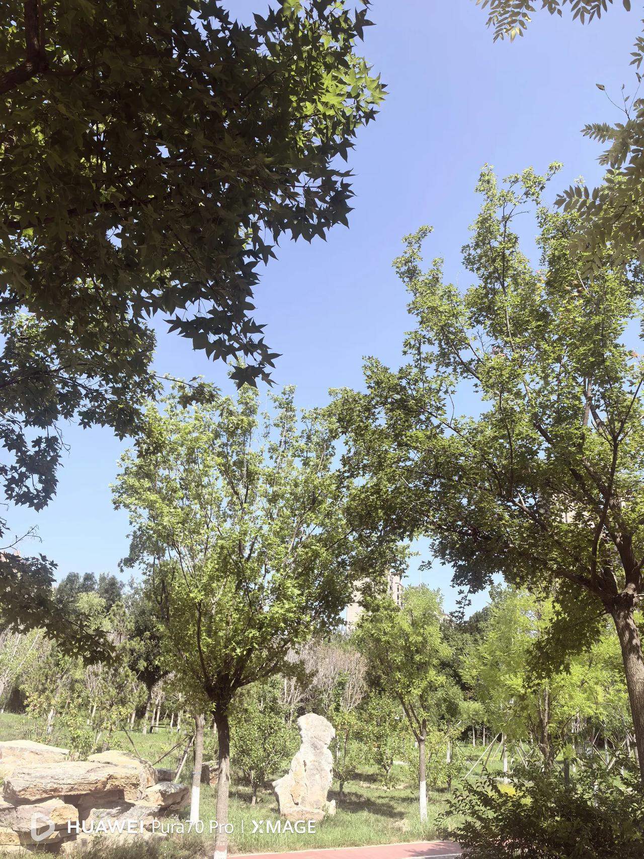 这是一个普遍现象，过去在房地产火热的时候，有能力的人都投资买门市，在特定的年代的
