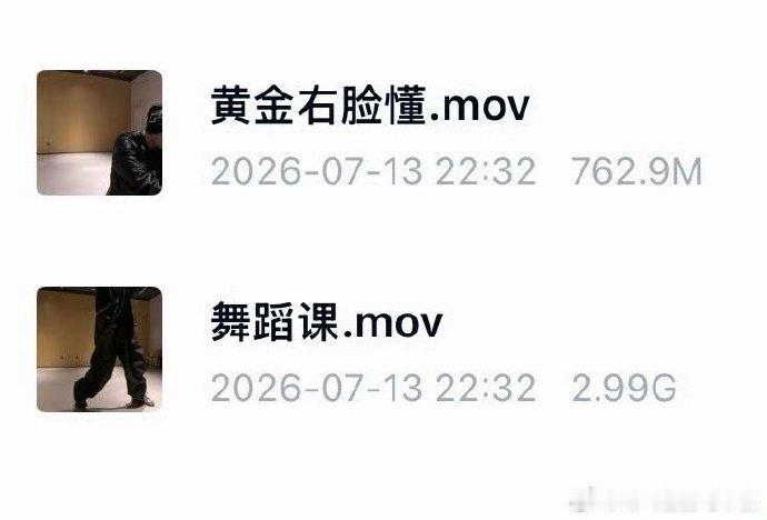 刘耀文黄金右脸刘耀文舞蹈课第三视角 刘耀文网盘黄金右脸 