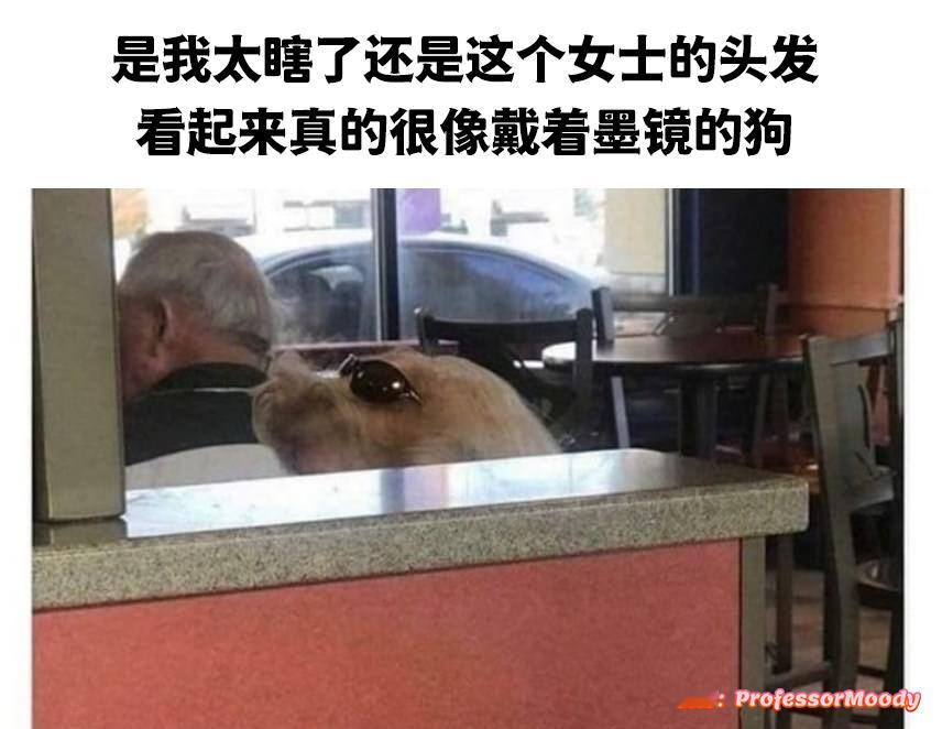 难道不是吗？#meme# / #笑料江湖争霸赛# ​​​
