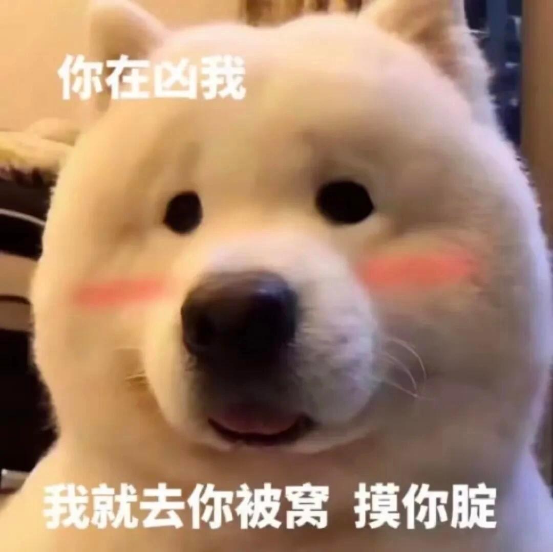 沙雕表情包 ​​​