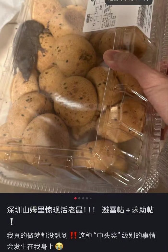 深圳一山姆麻薯盒出现活老鼠这个说实话有点假了，活老鼠这么大，工作人员能没发现？要