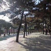 我的今日状态：😁轻松愉快
我这里的天气：☀️晴天