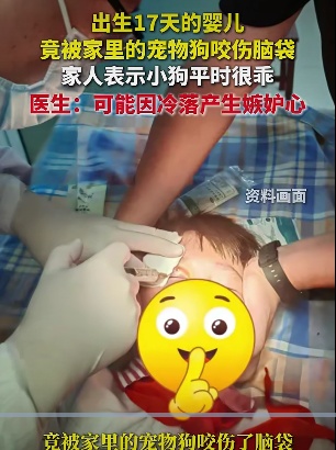 又有4人被咬！近期高发，大人小孩千万当心