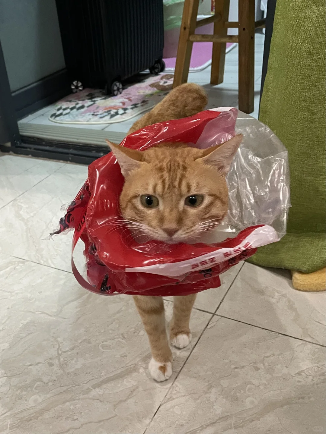 麻麻，我捡破烂回来了