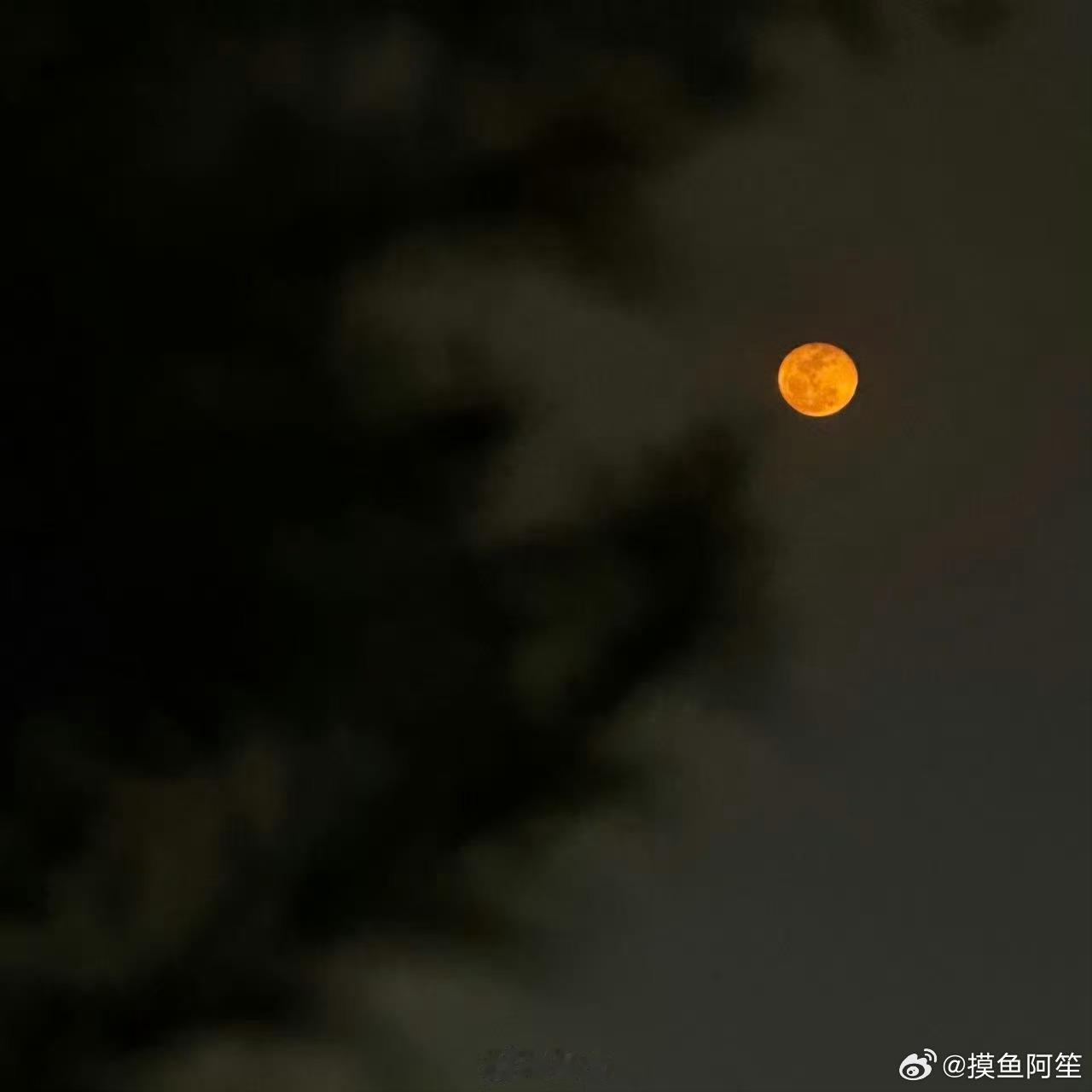 三点钟下班的齐夏拍到了血月，不愧是终焉之主啊肖战拍到了血月