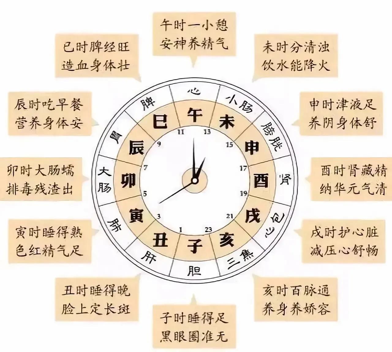 养生不是靠一朝一夕，而是靠日常生活的积累。现在，我要为你揭秘一份养生时刻表，帮助