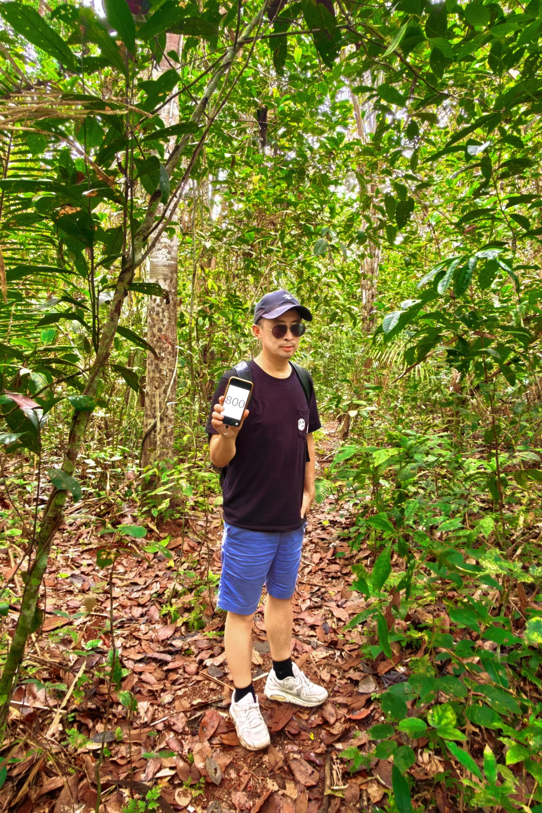 全球探访800项世界遗产达成，在亚马逊雨林