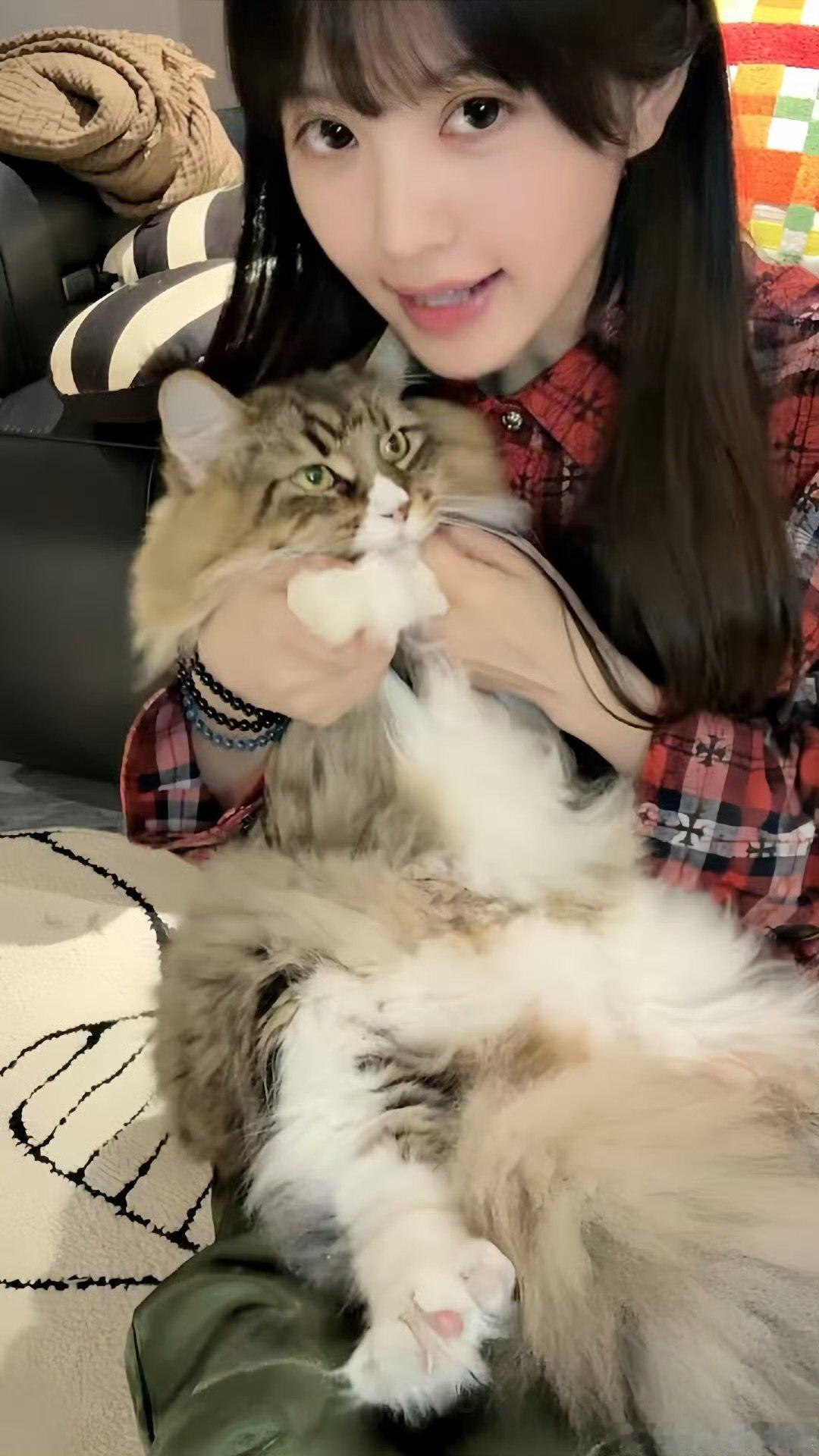田曦薇的猫叫康康田曦薇让猫自己直播 田曦薇 ​​​